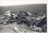 WO II: neergestort vliegtuig in weide in Koninksem