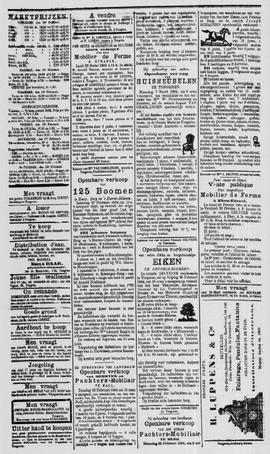 De Postrijder 19040218