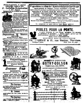 De Postrijder 19011109
