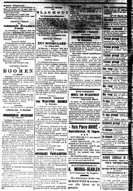 De Postrijder 19190118